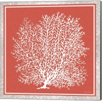 Framed 'Coastal Coral on Red II' border=