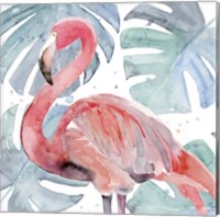 Framed 'Flamingo Splash II' border=