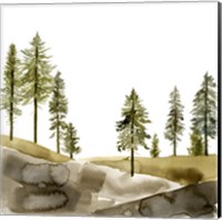 Framed 'Pine Hill I' border=