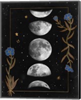 Framed 'Night Moon II' border=