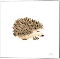 Framed 'Woodland Whimsy Hedgehog' border=