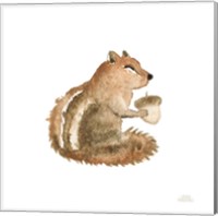 Framed 'Woodland Whimsy Squirrel' border=