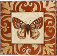 Framed 'Moroccan Butterfly I' border=