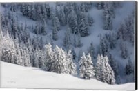 Framed North Cascades in Winter III