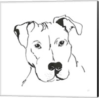 Framed 'Line Dog Pitbull II' border=