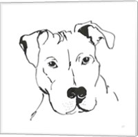 Framed 'Line Dog Pitbull II' border=