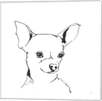 Framed 'Line Dog Chihuahua' border=