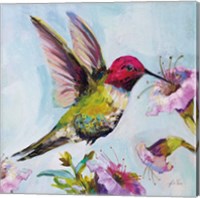 Framed 'Hummingbird I Florals' border=