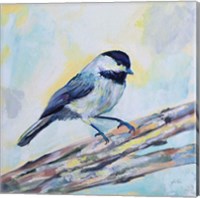 Framed 'Chickadee' border=