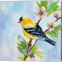 Framed 'Golden Finch' border=