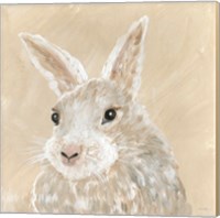 Framed 'Benny the Bunny' border=