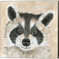 Framed 'Roxie the Raccoon' border=