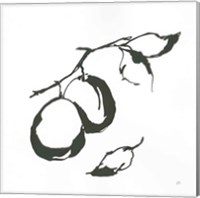 Framed 'Plums I BW' border=