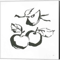 Framed 'Apples BW' border=