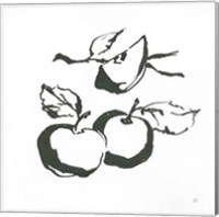 Framed 'Apples BW' border=