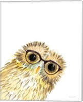 Framed 'Owl in Glasses' border=