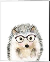 Framed 'Hedgehog in Glasses' border=