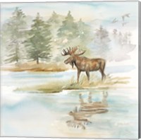 Framed 'Woodland Reflections II-Moose' border=