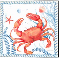 Framed 'Nautical Sea Life I-Crab' border=