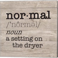 Framed 'Laundry Room Humor II-Normal' border=