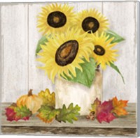 Framed 'Fall Sunflowers I' border=