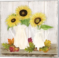 Framed 'Fall Sunflowers IV' border=