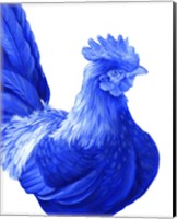 Framed 'Blue Rooster I' border=