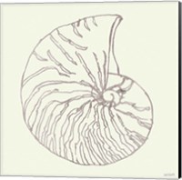 Framed 'Coastal Breeze Shell Sketches VII Silver' border=