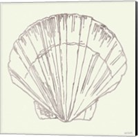 Framed 'Coastal Breeze Shell Sketches V Silver' border=