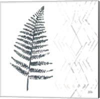 Framed 'Nordic Fern I' border=