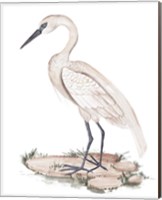 Framed 'White Heron I' border=