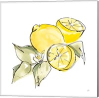 Framed 'Lemon Still Life I' border=