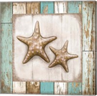 Framed 'Two Starfish' border=