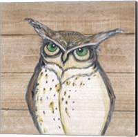 Framed 'Owl' border=