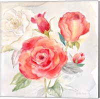 Framed 'Garden Roses I' border=