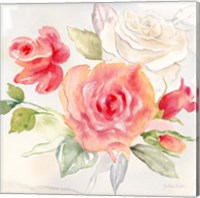 Framed 'Garden Roses II' border=