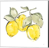 Framed 'Lemons IV' border=