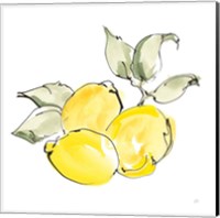 Framed 'Lemons II' border=