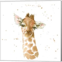 Framed 'Baby Giraffe' border=