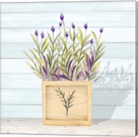 Framed 'Lavender and Wood Square II' border=
