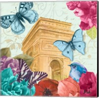 Framed 'Belles Fleurs a Paris II' border=