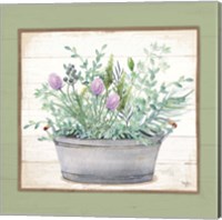 Framed 'Pot of Herbs I' border=