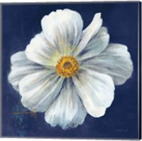 Framed 'Boldest Bloom I Dark Blue' border=