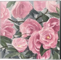 Framed 'Watercolor Roses I' border=