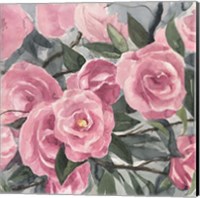 Framed 'Watercolor Roses II' border=