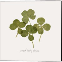 Framed 'Pressed Clover I' border=