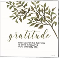 Framed 'Gratitude' border=