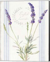 Framed 'Floursack Lavender IV' border=