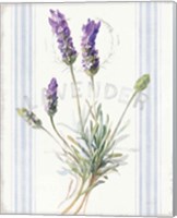 Framed 'Floursack Lavender III' border=