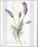 Framed 'Floursack Lavender II' border=